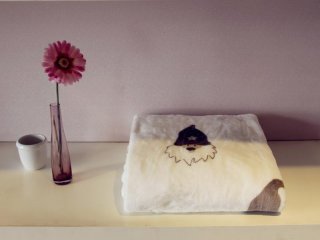 法蘭絨印花毯圣誕老人